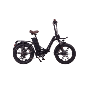 Cherry Ebikes F1000 2