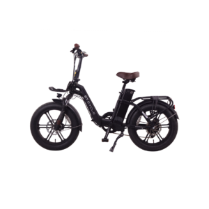 Cherry Ebikes F1000 3