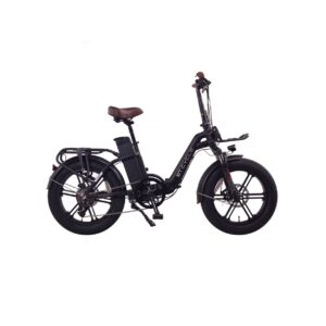 Cherry Ebikes F720 2