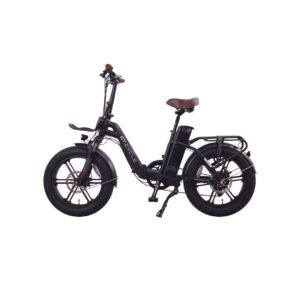 Cherry Ebikes F720 3