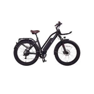 Cherry Ebikes T1000 2