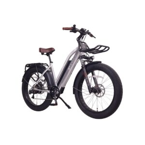 Cherry Ebikes T1000 4