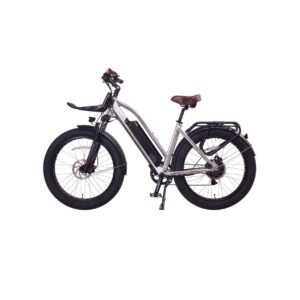 Cherry Ebikes T1000 6