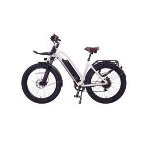 Cherry Ebikes T1000 9