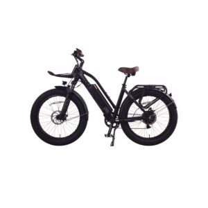 Cherry Ebikes T720 3