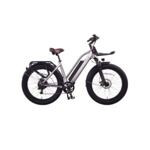 Cherry Ebikes T720 5