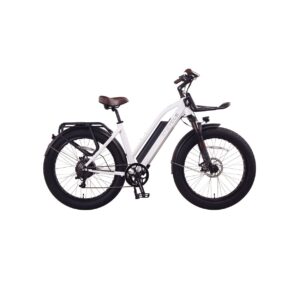 Cherry Ebikes T720 8