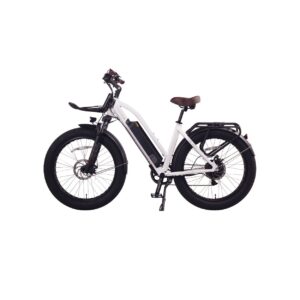 Cherry Ebikes T720 9